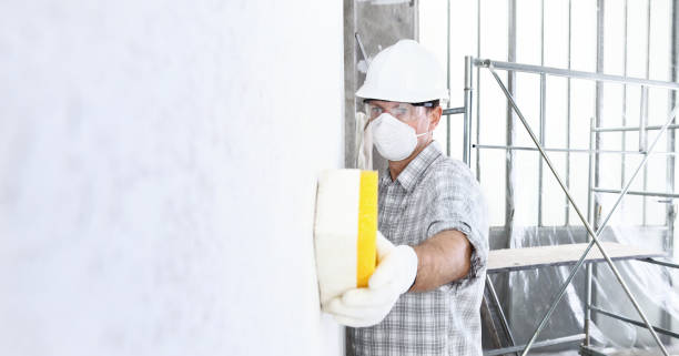 Mold Odor Removal Services in Sage, CA